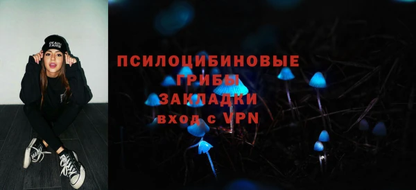 трава Каменногорск