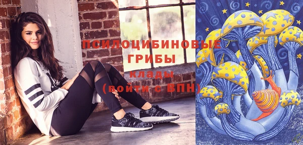 марки nbome Каменка